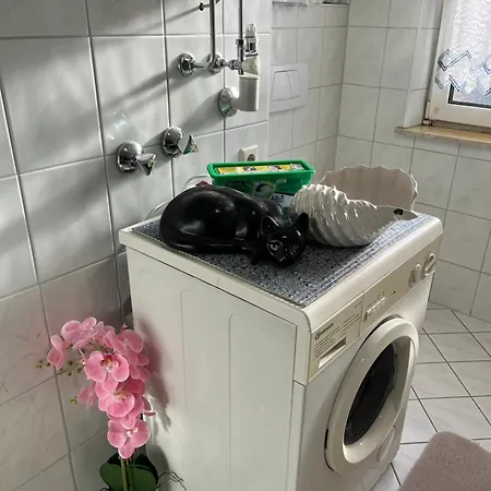 Daire Gemuetliche Stadtwohnung Leoben, Gratis Parkplaetze